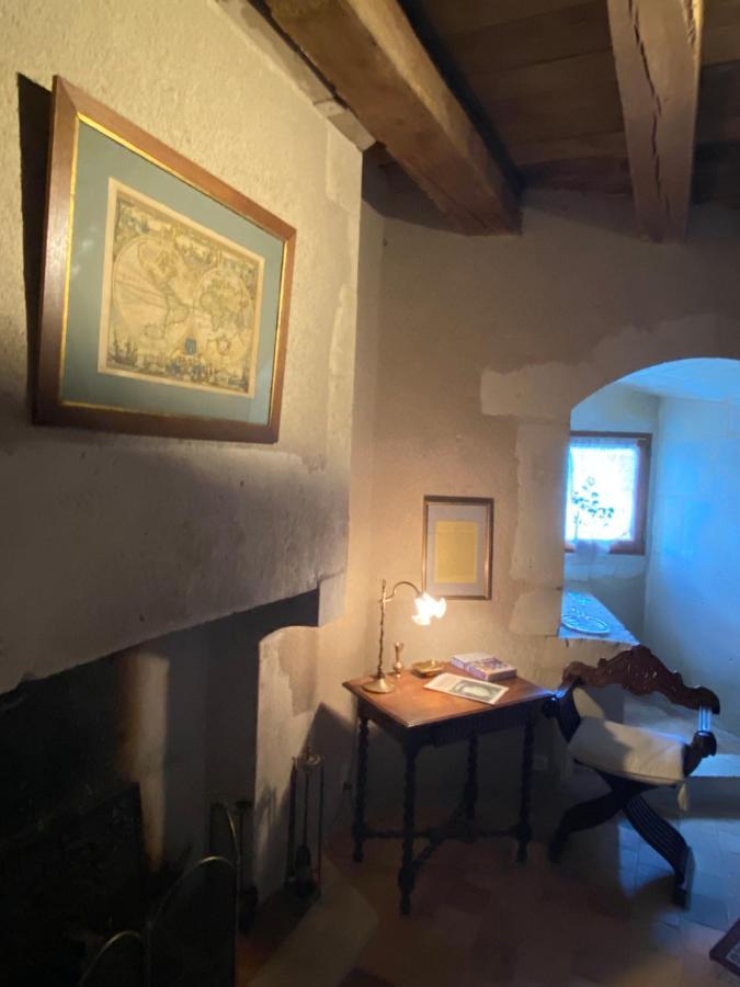 Chateau D'Ingrandes Ingrandes  Екстериор снимка