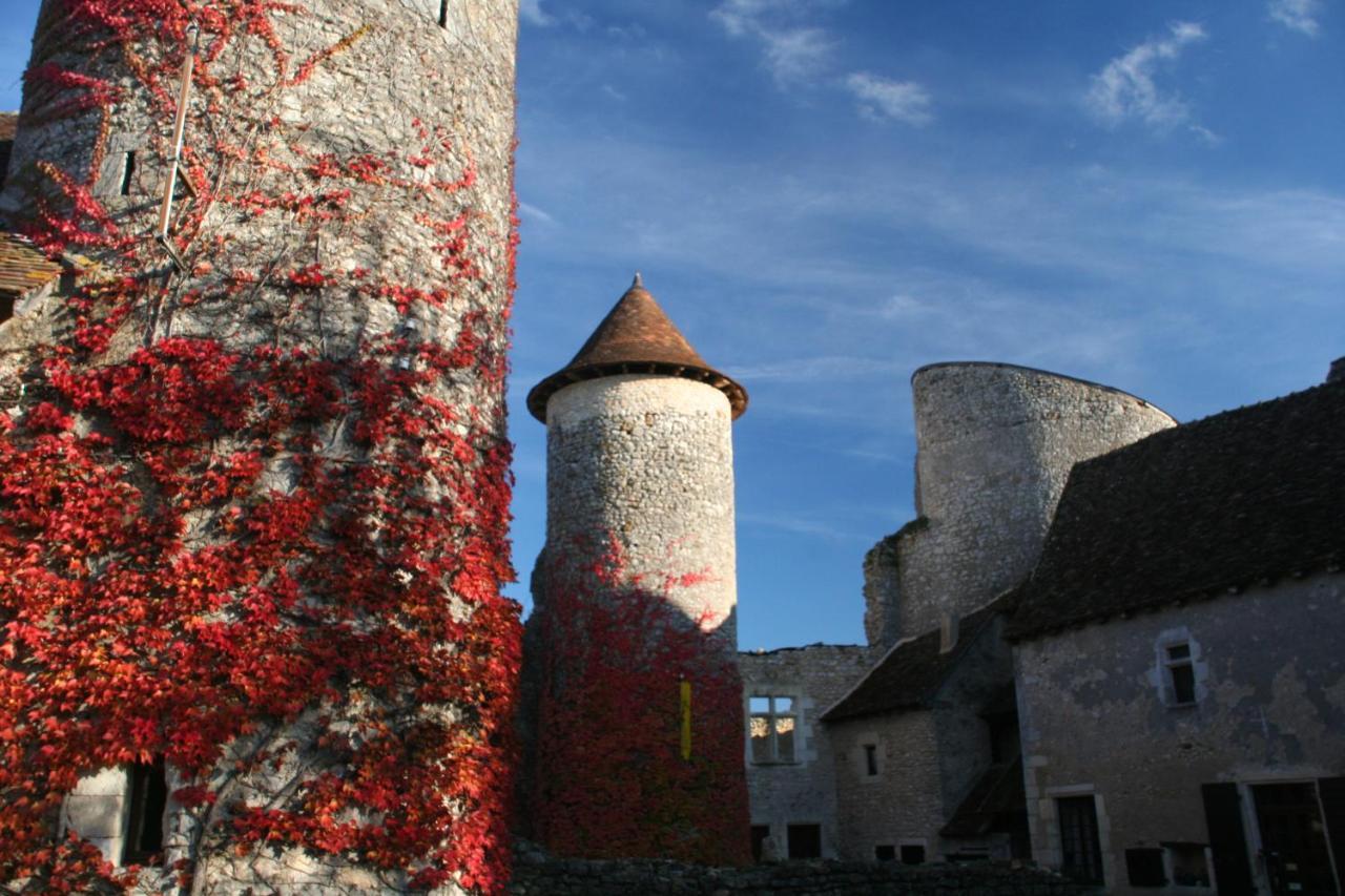 Chateau D'Ingrandes Ingrandes  Екстериор снимка