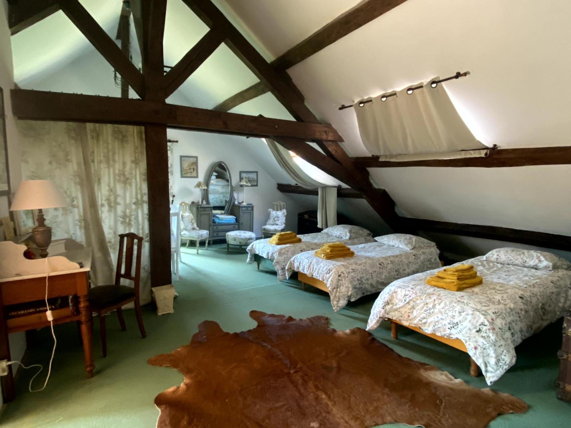 Chateau D'Ingrandes Ingrandes  Стая снимка