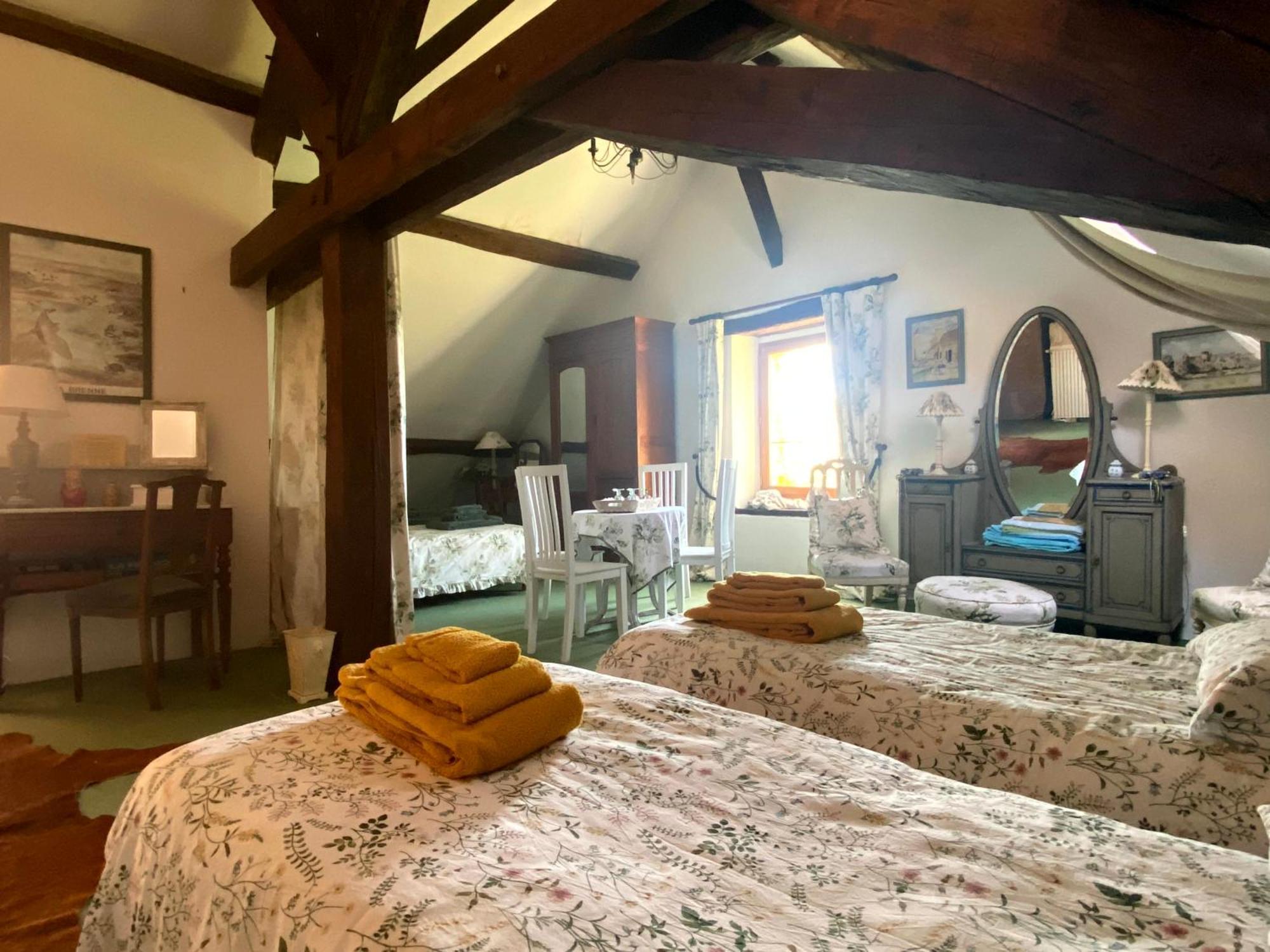 Chateau D'Ingrandes Ingrandes  Стая снимка