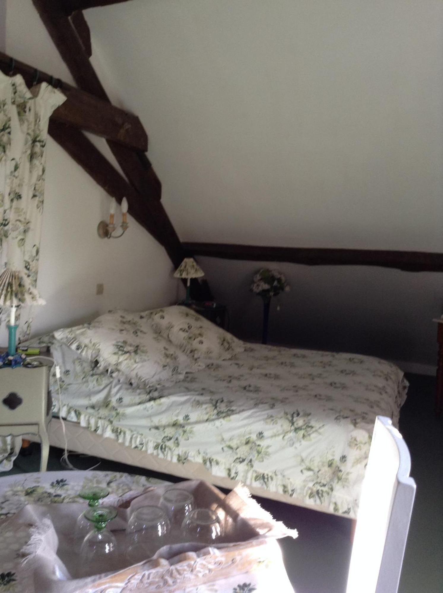 Chateau D'Ingrandes Ingrandes  Екстериор снимка