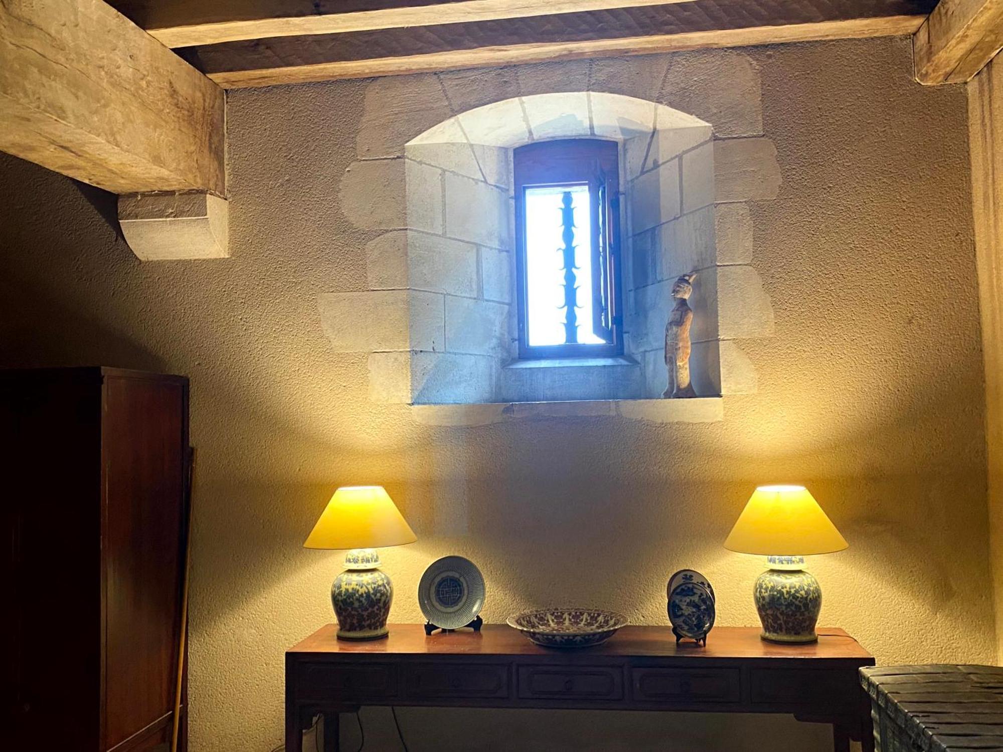 Chateau D'Ingrandes Ingrandes  Стая снимка